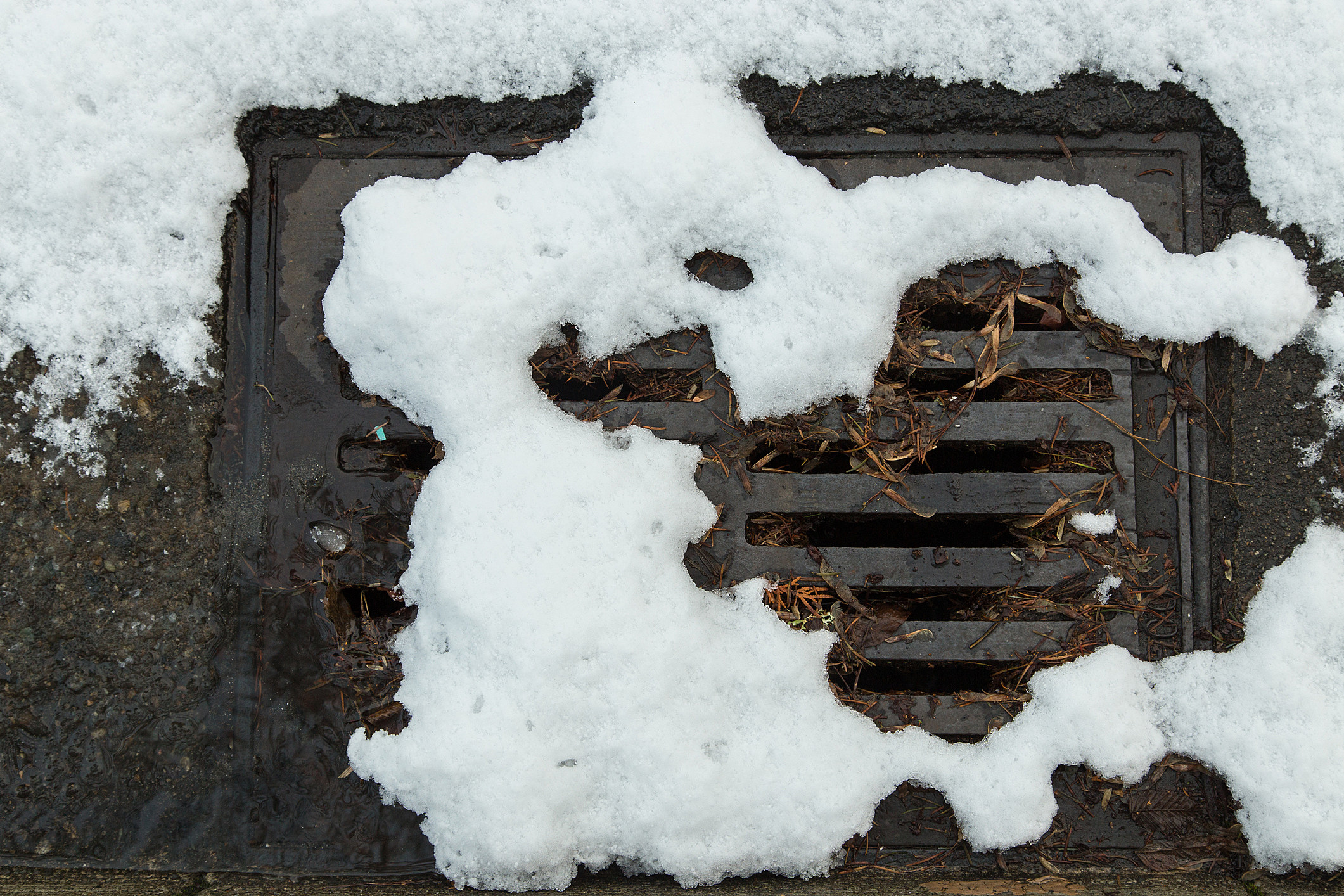 Adopt a storm drain - Help keep the melt flowing!